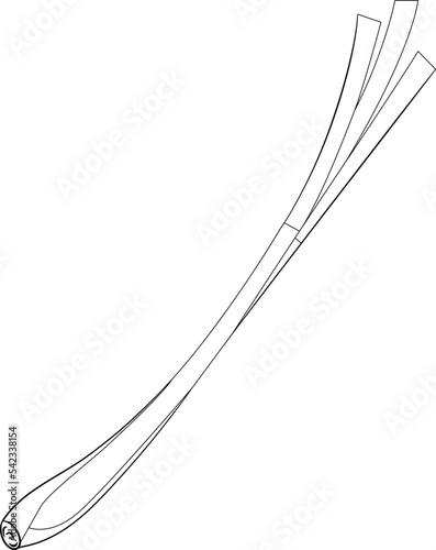 Lemon Grass Leaf Drawing Line