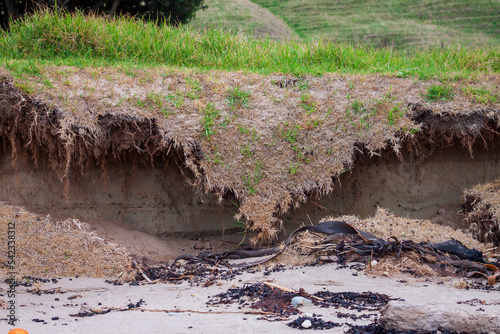 Photography effects of global warming and rising sea level on coastal landscape near Gisborn