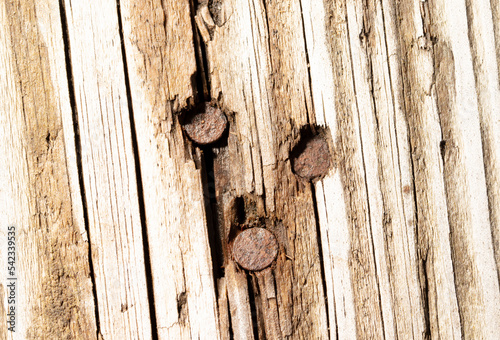 An old rusty nail driven into a wooden board.