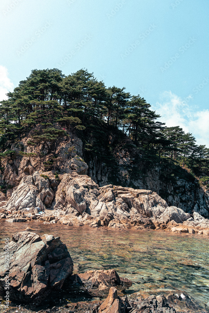 rocky island with pine trees
