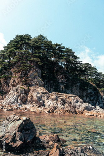 rocky island with pine trees