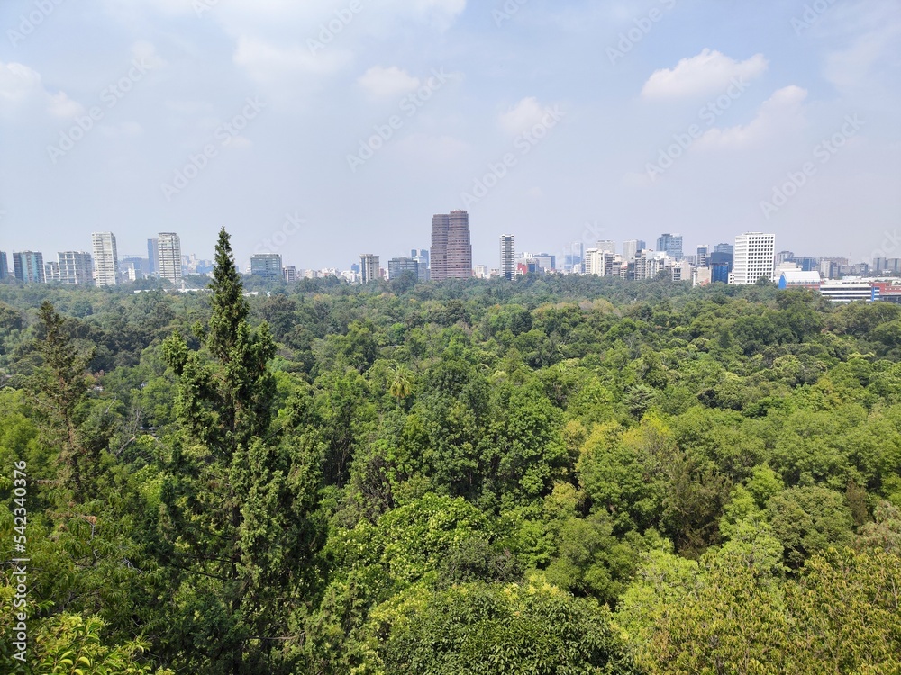 Mexico City, modern capitals with park forests and buildings Mexico City, modern capitals with park forests and buildings