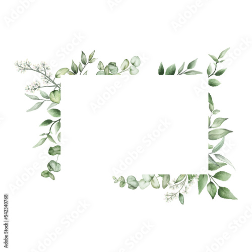 Fototapeta Naklejka Na Ścianę i Meble -  elegant watercolor greenery leaves frame