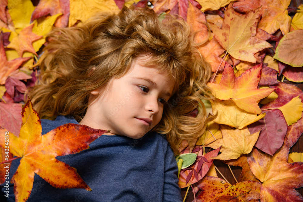 Child portrait close up, kid lying in autumn leaves. Autumn Child portrait in fall yellow leaves. Little kid boy play with maple leaf in autumnal park outdoor. October season, romantic kids dream.