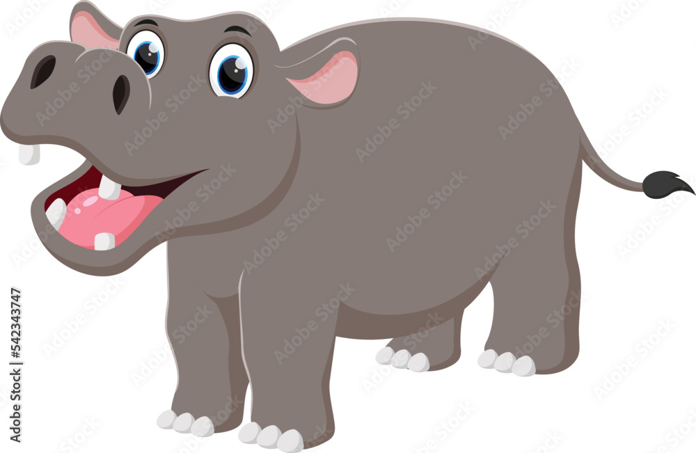 Cartoon Hippo isolated on white background