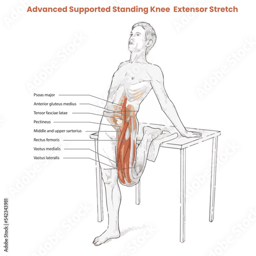 Muscle movement. Biceps triceps motion anatomy. Biceps brachii, flexion, extension. Arm and hand contracts, relax gesture. Illustration vector diagram.