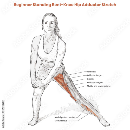 Muscle movement. Biceps triceps motion anatomy. Biceps brachii, flexion, extension. Arm and hand contracts, relax gesture. Illustration vector diagram.