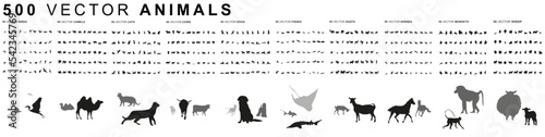 500 Animals - Vector