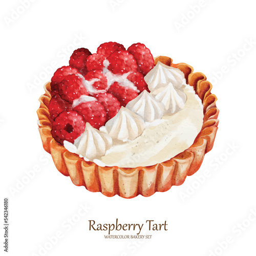 Raspberry tart watercolor vector element design