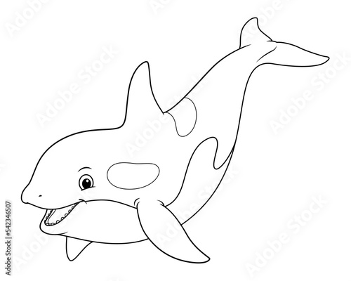 Killer Whale Cartoon Animal Illustration BW