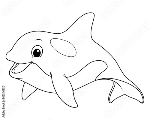 Little Killer Whale Cartoon Animal Illustration BW