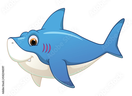 Little Shark Cartoon Animal Illustration