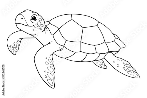 Sea Turtle Cartoon Animal Illustration BW