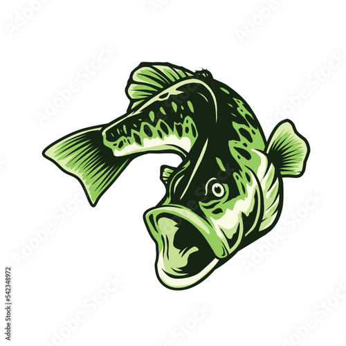 largemouth bass fish illustration photo