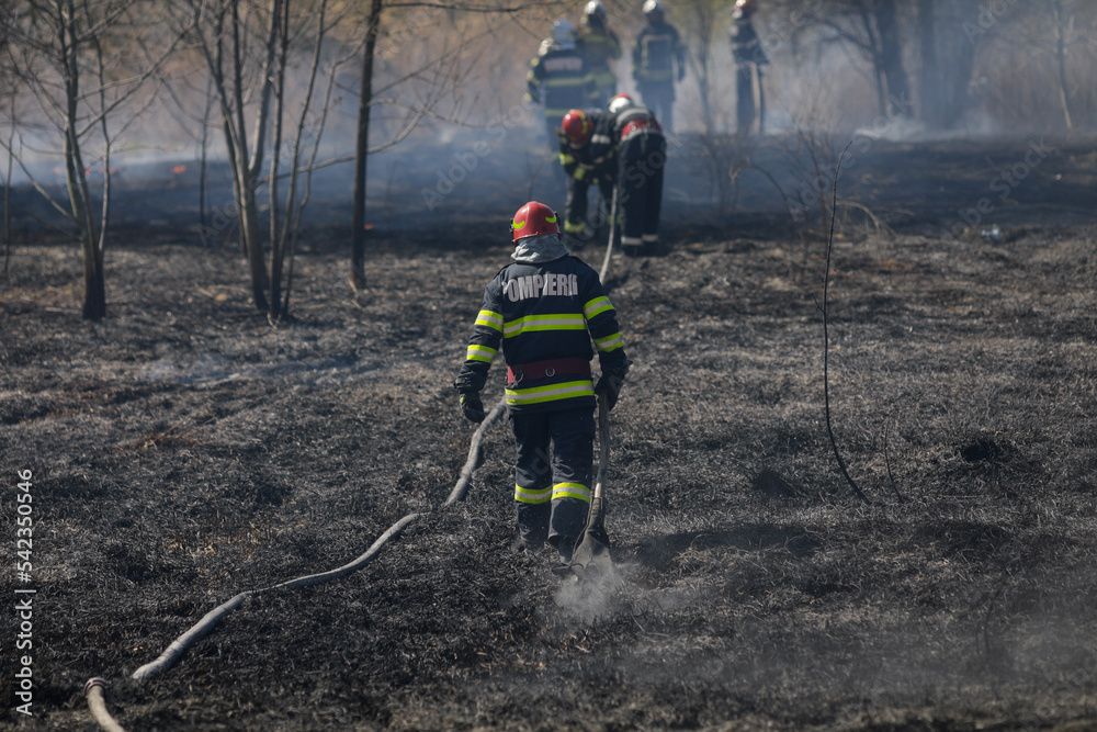 Fototapeta premium Firefighters try to extinguish a wildfire of vegetation in the Vacaresti park nature reserve.