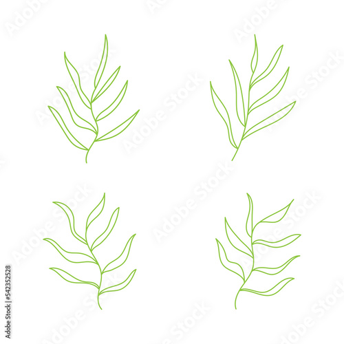 Green leafy plant with decorative art isolated vector illustration