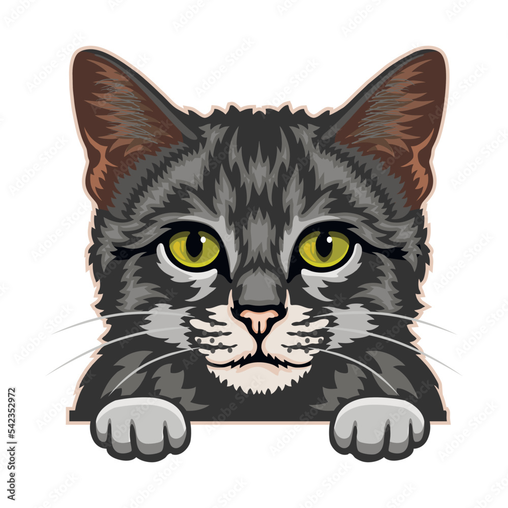 Domestic Cat Color Vector, Peeking Cats, Cats Breed, Pet Vector portrait, Cats Head