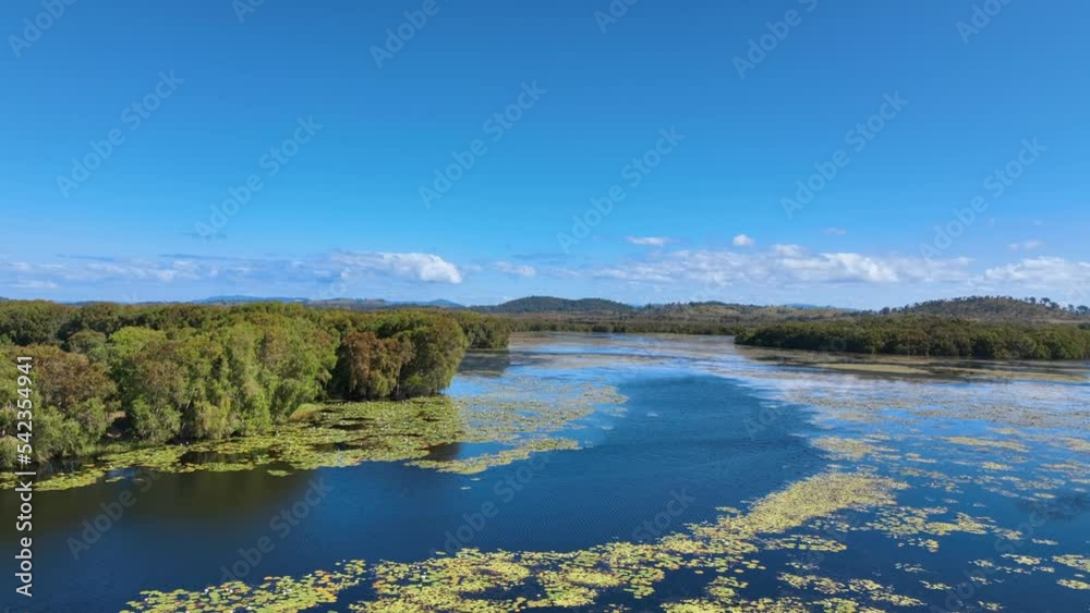 Aerial over the lily flower waters and bird sanctuary at Lake Barfield QLD Aerial over the lily flower waters and bird sanctuary at Lake Barfield QLD
