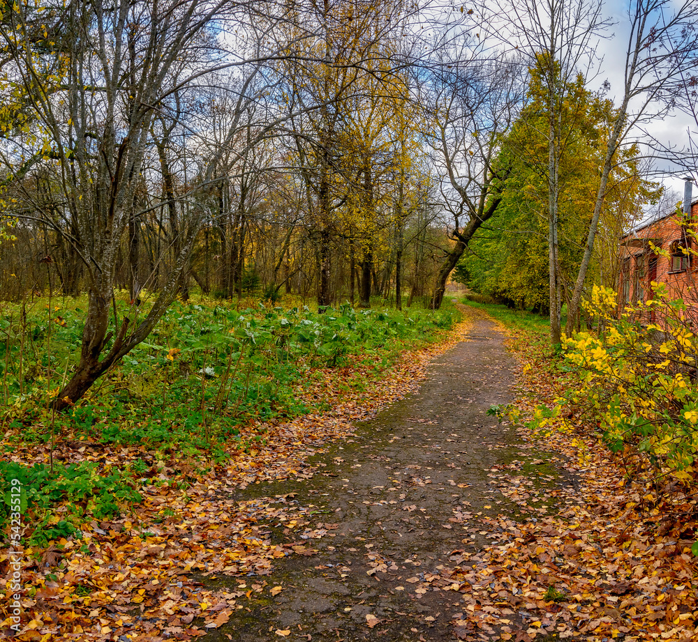 Autumn landscapes in the Sergeevka park on the territory of the former estate of the Leuchtenbergskys in the Leningrad region.