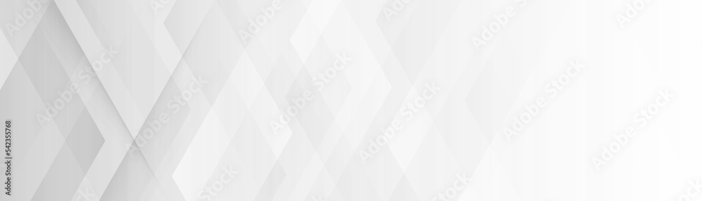 Fototapeta premium Abstract elegant white and grey geometric background. Subtle geometric shape. Modern futuristic concept. Suit for cover, header, banner, poster, web, flyer, presentation. Vector illustration