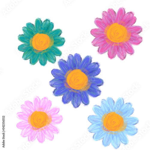colorful daisy flowers watercolor  © Attachai