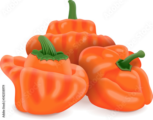 Group of orange scotch bonnet peppers. Capsicum chinense. Hot chili pepper. Fresh organic vegetables. Vector illustration isolated on white background.