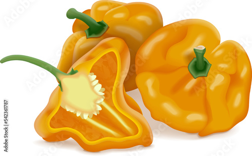 Whole and half of yellow scotch bonnet peppers. Capsicum chinense. Hot chili pepper. Fresh organic vegetables. Vector illustration isolated on white background.