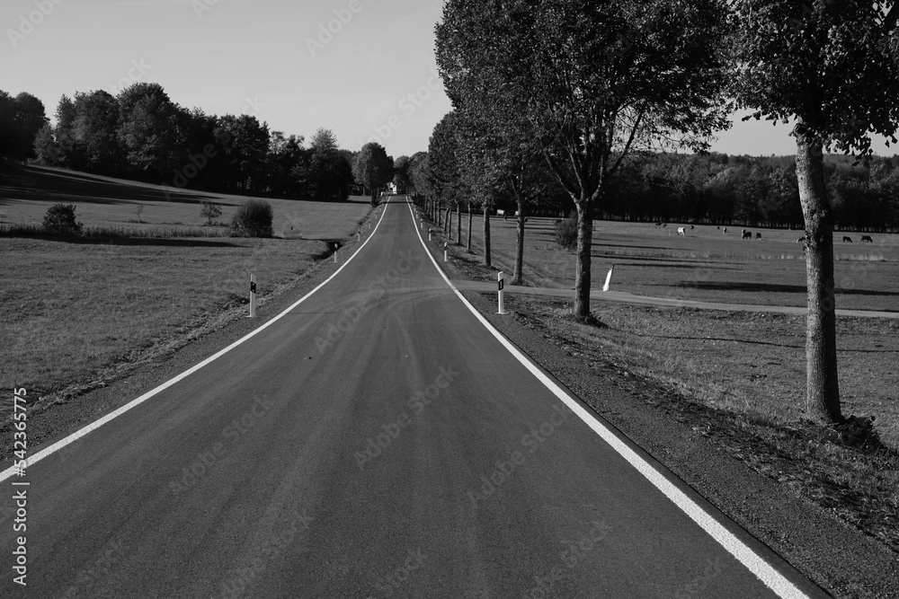 Landstraße als einseitige Allee in ländlicher Umgebung, auf dem Land