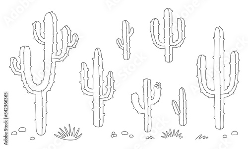 Vector Sketch of Wild Cactus. Collection of Cute Cacti. Desert plant. Hand draw illustration in cartoon doodle style. Black outlines isolated on a white background. Contour drawing. 