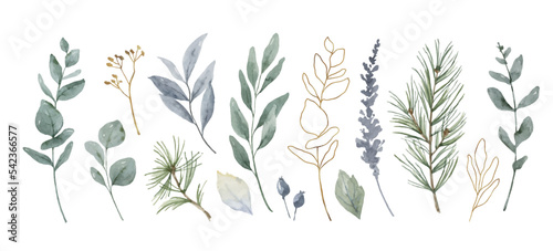 Watercolor vector set of branches of winter shades.