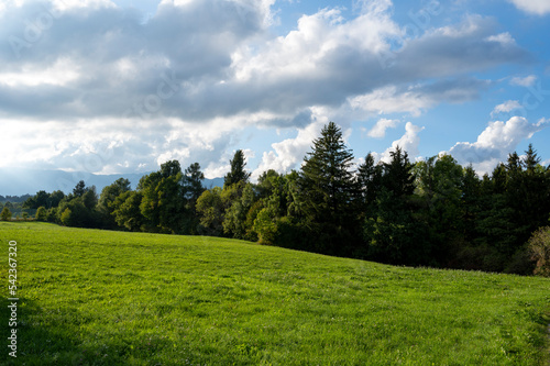 Paysage des montagnes de Slovénie à l'automne autour de Postojna avec pré et forêt