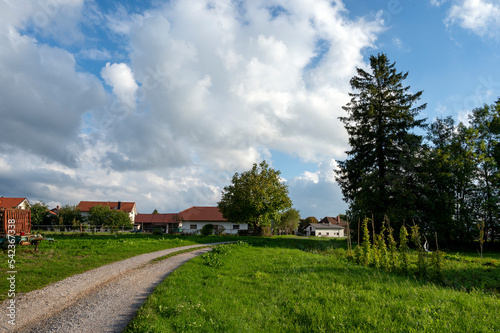 Route de campagne dans le paysage des montagnes de Slovénie à l'automne autour de Postojna avec un village et des fermes