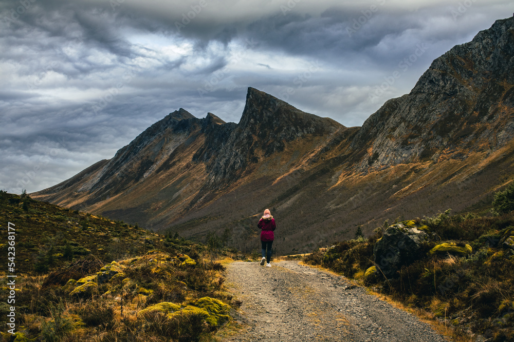 hiking in the mountains