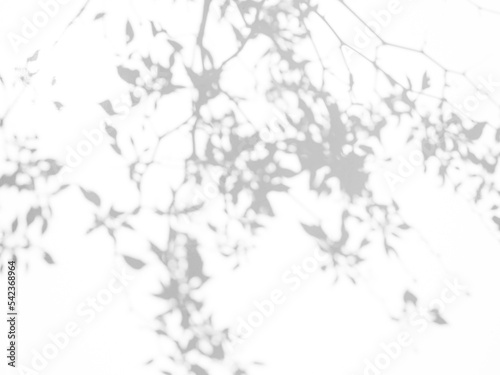 Blur Overlay Shadow Leaves Background,Abstract Sunlight effect Nature on Gray Cement Backdrop,Mock Up Display Free Space for add Products presentation,Structure Concrete Material Floor Construction.