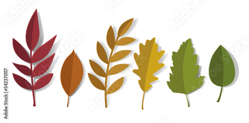 Autumn Leaves