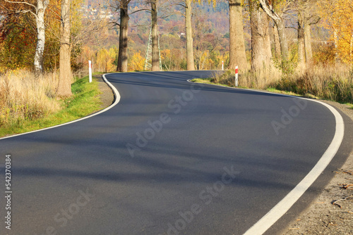 Kręta droga asfaltowa biegnie między drzewami jesienią. 