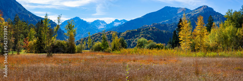 Germany, Bavaria, Panoramic view of alpine moor in autumn photo