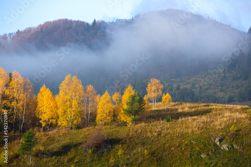 Charming autumn landscape in the Carpathian mountains in Romania