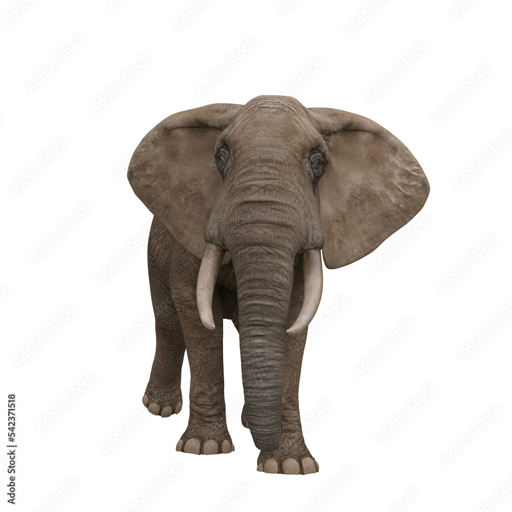 Obraz premium African elephant front view. 3D illustration.