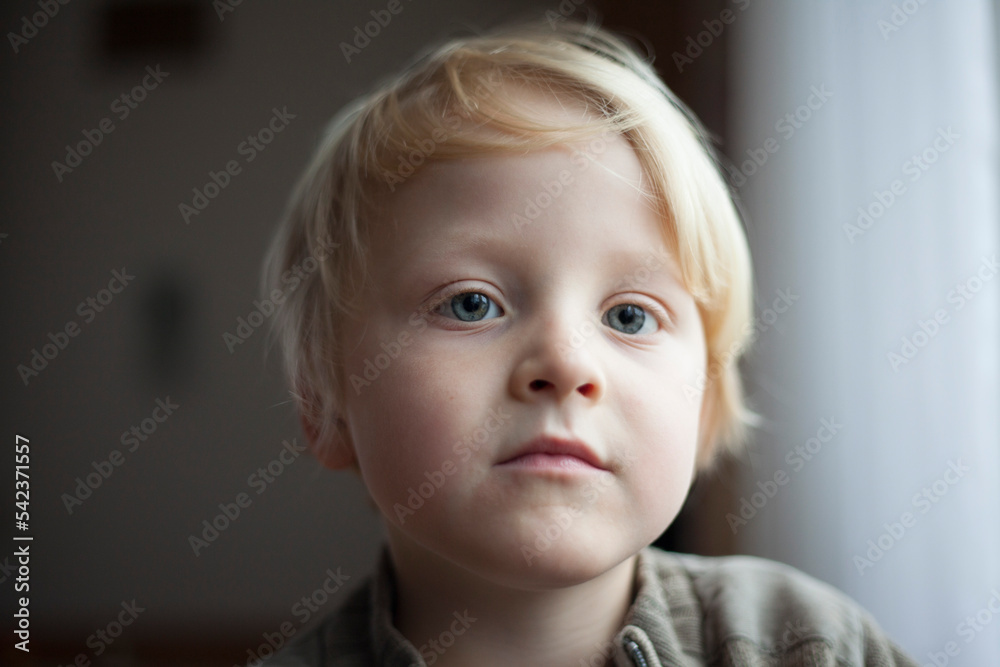 Portrait of blond little boy Portrait of blond little boy