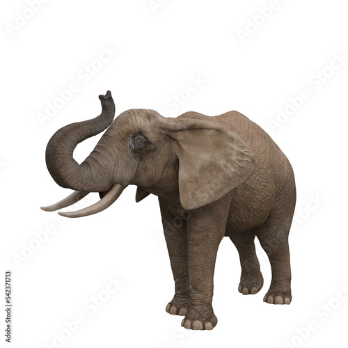 Canvas Print African elephant trunpeting. 3D illustration.