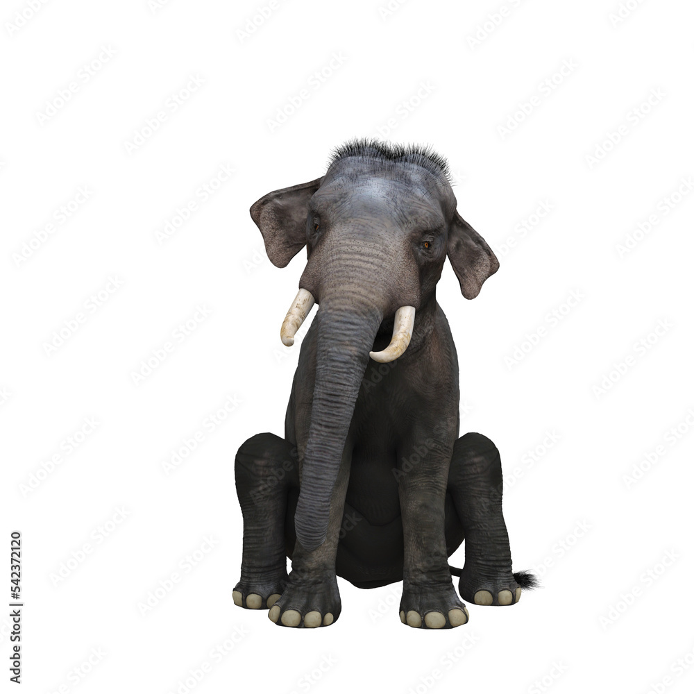 Fototapeta premium Indian elephant sitting. 3D illustration.