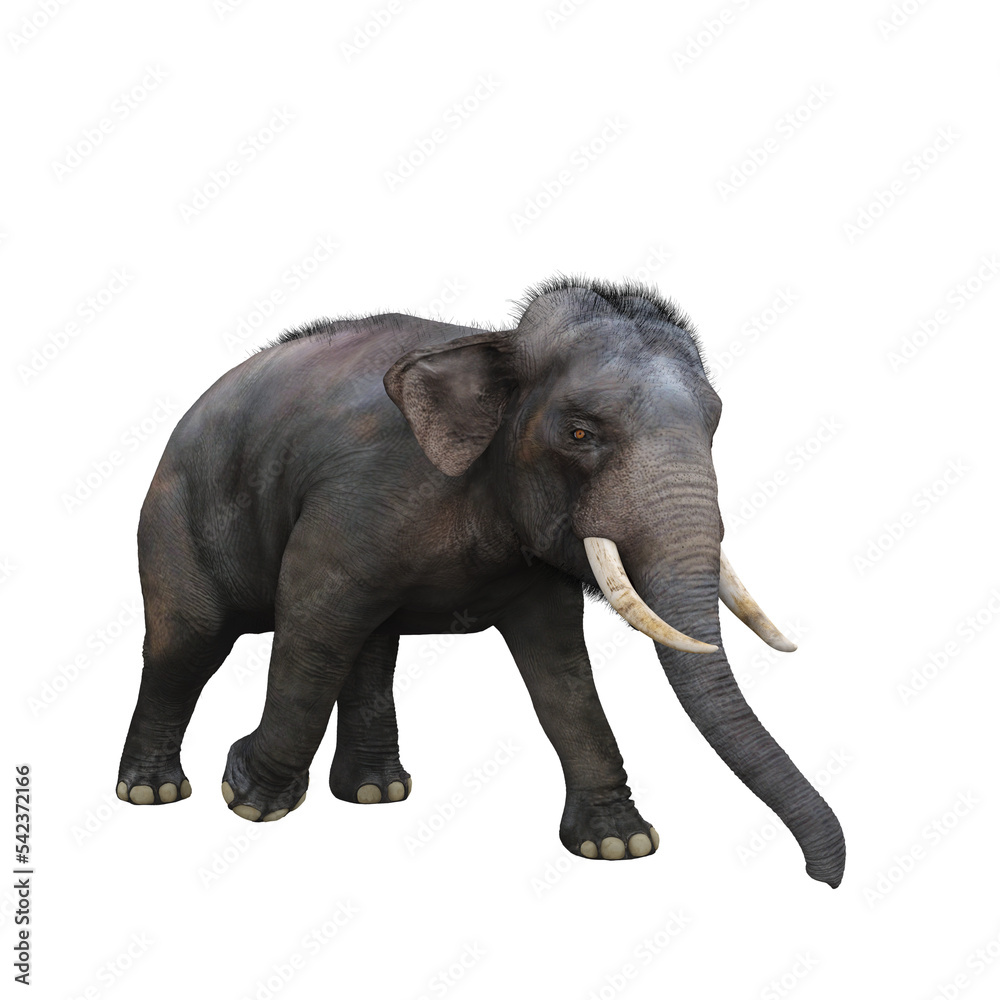 Obraz premium Indian elephant walking. 3D illustration.