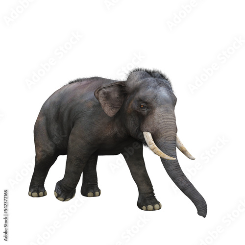 Indian elephant walking. 3D illustration.