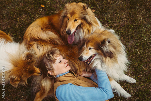Smiling woman lying with collie dogs on grass at park