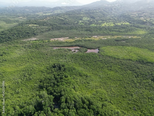 Gorgeous aerial view of the El Espino beach in El Salvador with lush green trees and calm waters photo