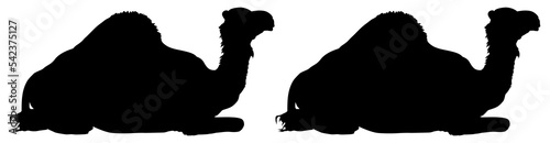 Camel Silhouette for Logo, Pictogram, Website, Apps, Art Illustration or Graphic Design Element. Format PNG 