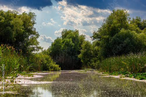 The swamps and wilderness of the Danube Delta in Romania