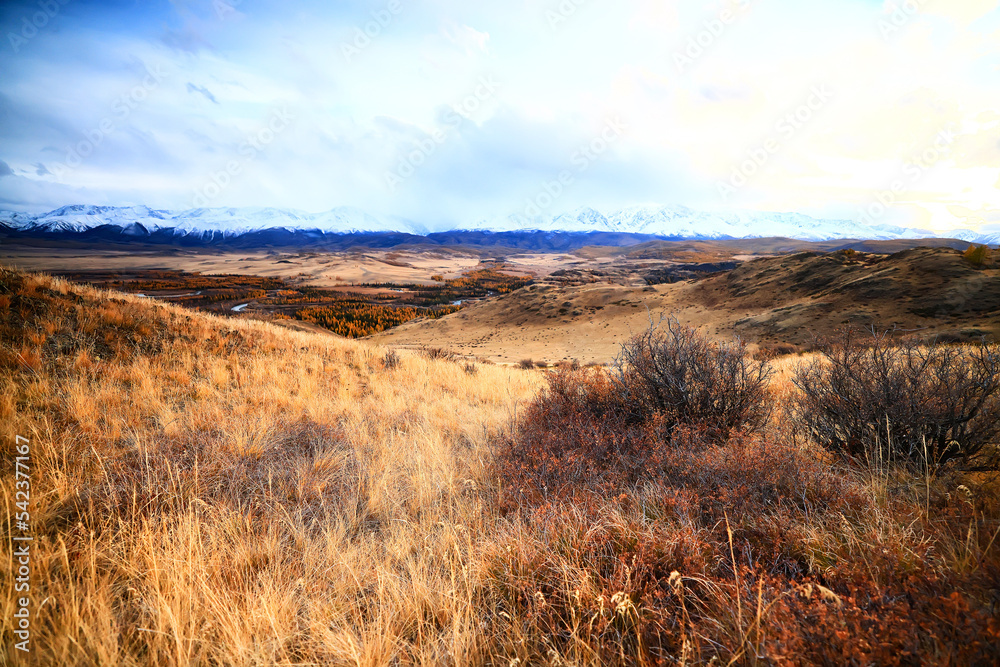landscape mountain altai, panorama scenery freedom, autumn nature of siberia landscape mountain altai, panorama scenery freedom, autumn nature of siberia