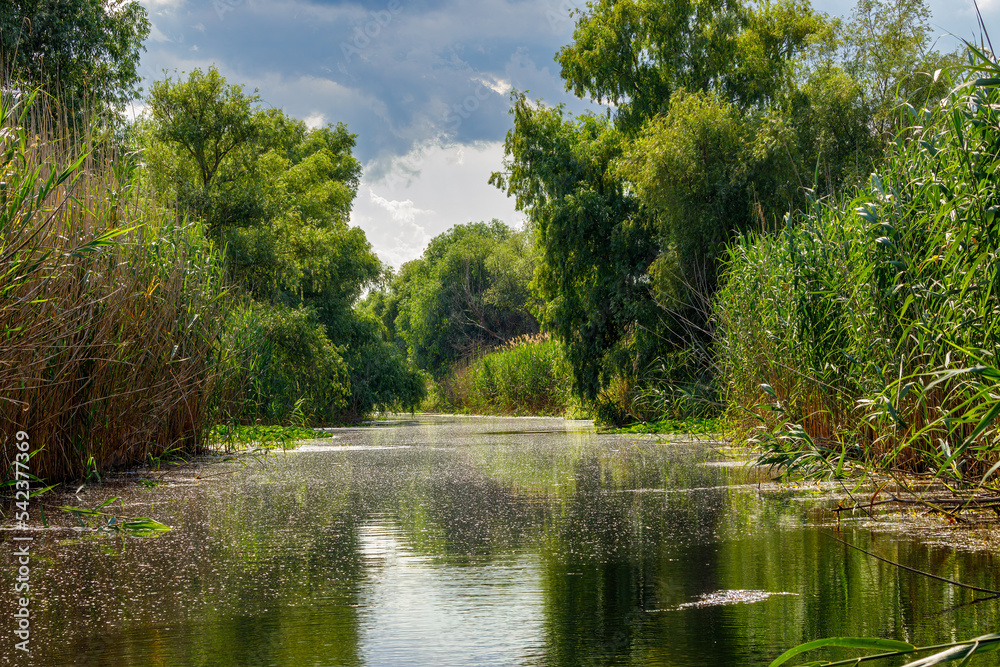 The swamps and wilderness of the Danube Delta in Romania